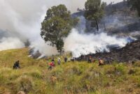 Ilustrasi kebakaran hutan dan lahan. (Dok. BNPB)