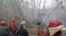 Hutan dan lahan di wilayah Kabupaten Ogan Komering Ilir (OKI), Sumatera Selatan Terbakar. (Dok. BNPB) 
