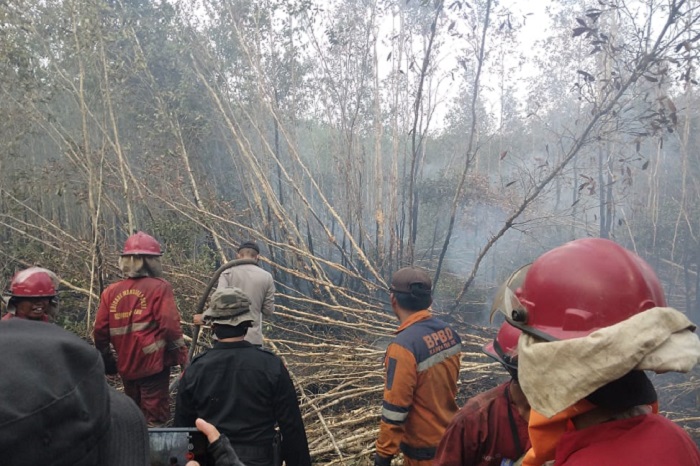 Hutan dan lahan di wilayah Kabupaten Ogan Komering Ilir (OKI), Sumatera Selatan Terbakar. (Dok. BNPB) 
