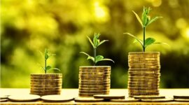 Ivestasi Asing Semakin Bebani Perekonomian Nasional. (Pixabay.com/
WebTechExperts)
