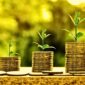 Ivestasi Asing Semakin Bebani Perekonomian Nasional. (Pixabay.com/
WebTechExperts)
